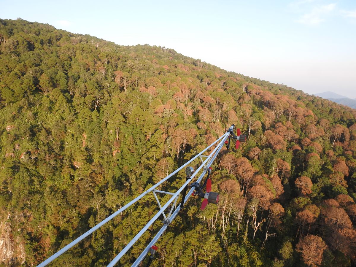 Torre de monitoreo forestal sobre bosque con zonas afectadas por plagas
